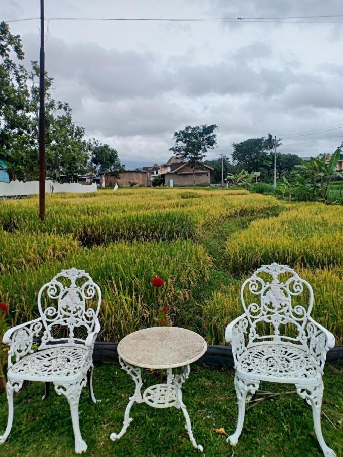 Putri Duyung Guest House Karangpandan Exterior foto